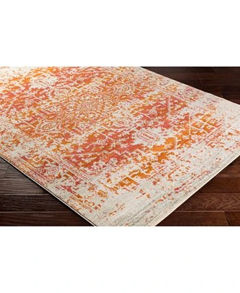 Surya Harput HAP-1019 Burnt Orange 5'3 X 7'3 Area Rug 4 Surya Harput HAP-1019 Burnt Orange 5'3 X 7'3 Area Rug - Image 2