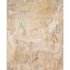 Safavieh Daytona Stone 4' X 6' Area Rug -Chic Home Store 11734580 fpx