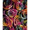 Safavieh Fiesta Fuchsia And Multi 3' X 5' Area Rug -Chic Home Store 11819998 fpx