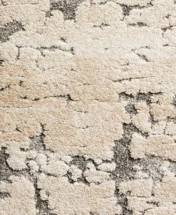 Spring Valley Home Premise PMS-08 2'7 X 4' Area Rug -Chic Home Store 22128201 fpx