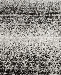 Safavieh Adirondack Silver And Black 4' X 4' Square Area Rug -Chic Home Store 23303133 fpx